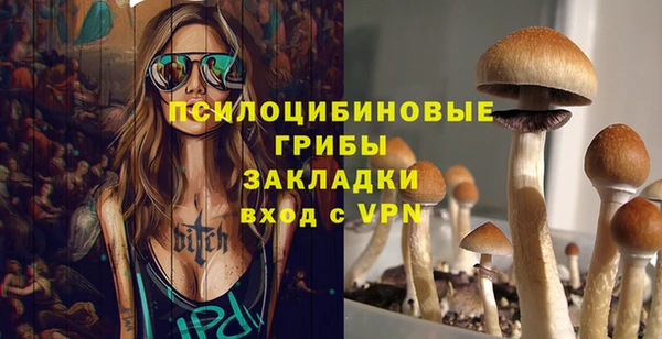 a pvp Алексин