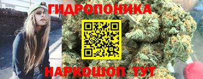 гашик Волгодонск