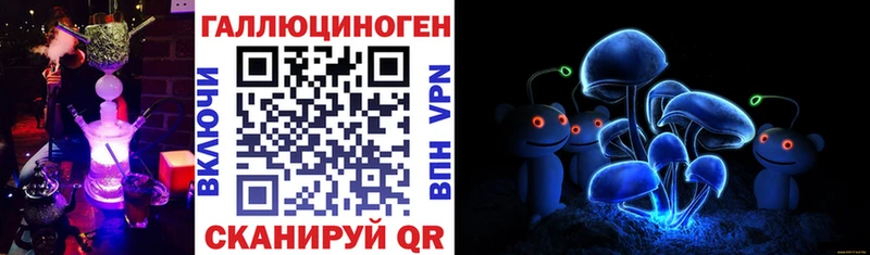 Псилоцибиновые грибы Psilocybe  Елабуга 