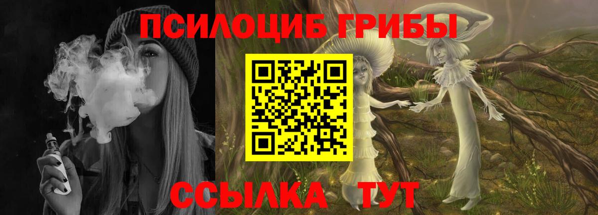Елабуга  Галлюциногенные грибы GOLDEN TEACHER  купить наркотики цена  Вход с VPN 